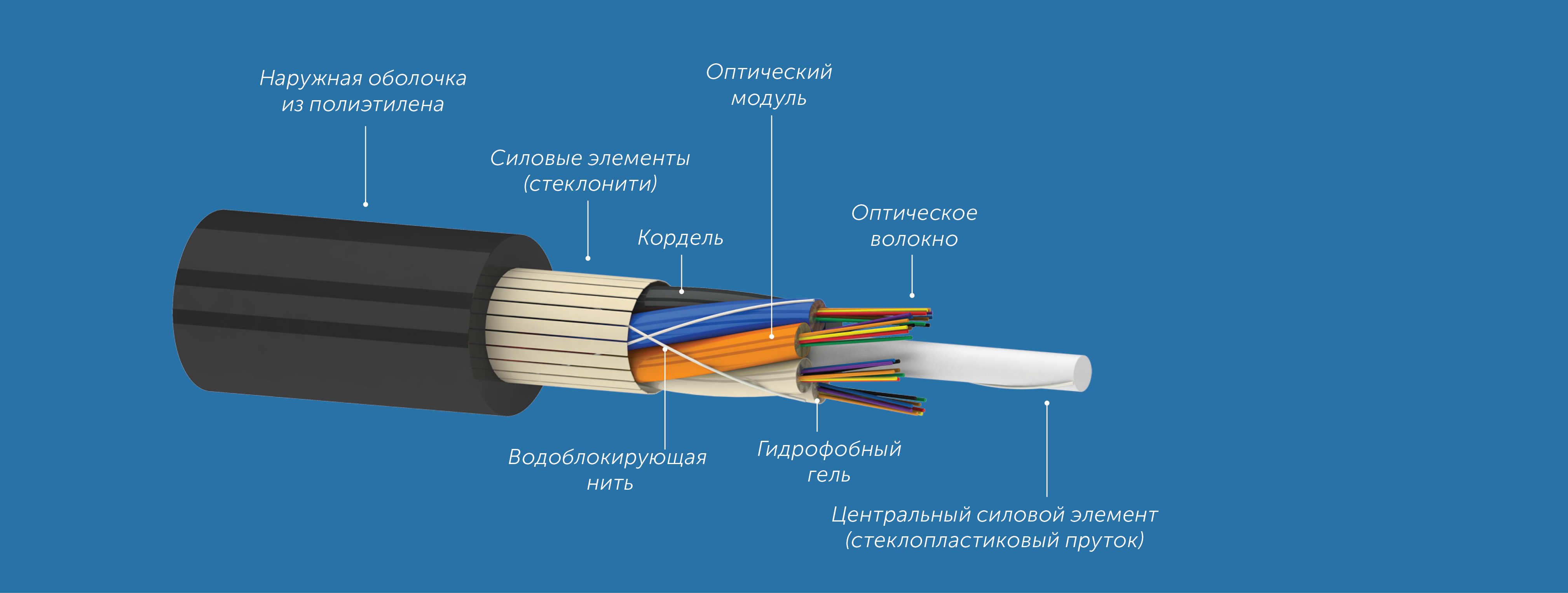 b0a565e0d2e311e980bd000c29d70fd6_c50203943c1311ec80dd000c29d70fd6